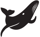 pilot whale