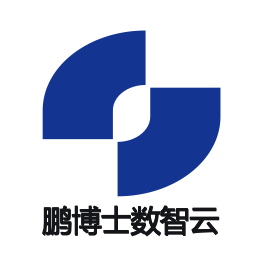 鹏博士数智云（集团）有限公司-首页