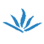 Netvox LoRaWAN Application Command