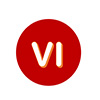 VIPCHINESE-外国人来华服务-外籍来华工作-外籍艺人来华演出-China Visa