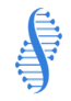 山东赛托生物科技股份有限公司