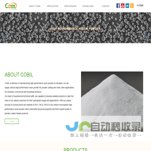 Water Industry,Water Industry,Shanghai Cobil Chemical Company Ltd_Others