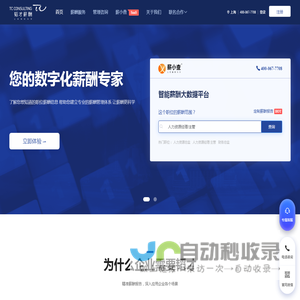 韬才顾问-人力资源薪酬管理服务专家