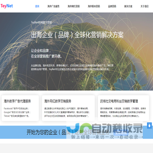 特网信息科技 | 出海企业（品牌）全球化数字营销解决方案