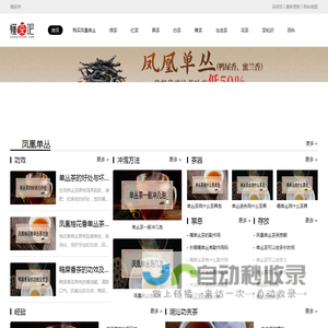 懂茶帝 - 带你了解凤凰单丛茶，潮汕工夫茶文化、茶道等茶叶知识大全