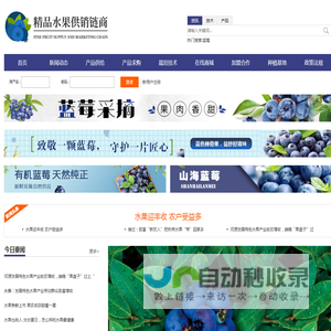 精品水果供销链商