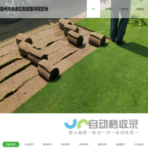 滁州市南谯区懿妮草坪园艺场
