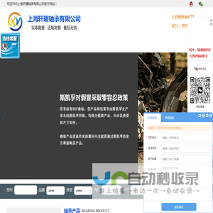 上海轩曜轴承有限公司