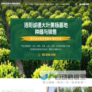 偃师市邙岭镇诚德大叶黄杨直销部