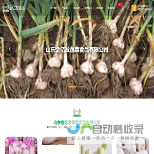 山东金亿发蔬菜食品有限公司