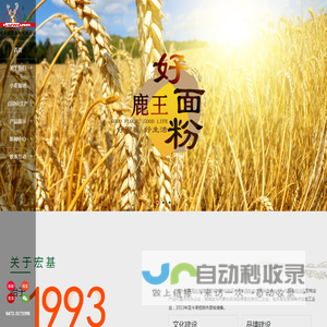 包头宏基面粉有限公司