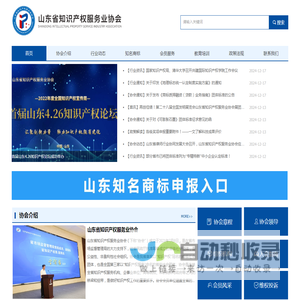 山东省知识产权服务业协会