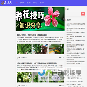 花儿网-养花攻略-如何养花_家庭养花_花知识