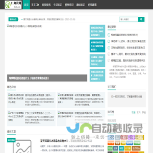 91知识网_就爱手工网_用心分享你兴趣的知识与热点话题