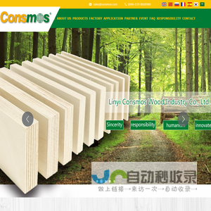 Consmos birch plywood,B/BB,film faced plywood,shuttering plywood,marine plywood,plywood,OSB,OSB/3,Veneer,MDF,LVL