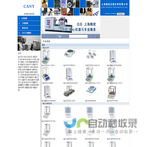 上海精密仪器仪表有限公司|台秤称-链条电子天平-小地磅-汽车衡-地上衡-砝码