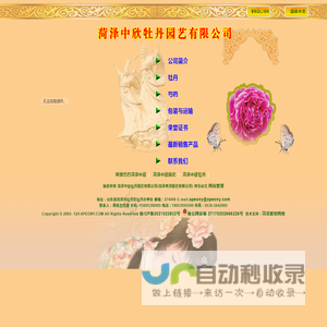 菏泽中欣牡丹园艺有限公司(菏泽黄河园艺有限公司)―牡丹，芍药，鲜切花，菏泽牡丹，曹州牡丹，牡丹栽培-菏泽中欣牡丹园艺有限公司(原菏泽黄河园艺有限公司)