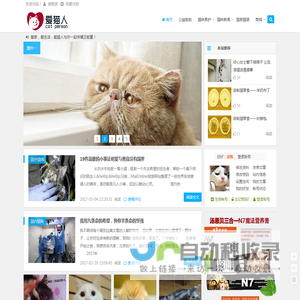 猫咪_猫奴俱乐部——爱猫人catperson