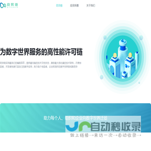 奇异链