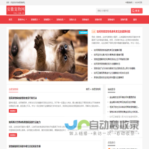 中宠网 - 合肥宠物网