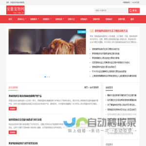 中宠网 - 安庆宠物网