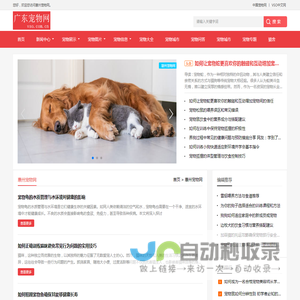 中宠网 - 惠州宠物网