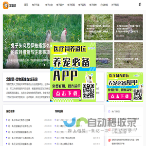 兔子医生在线咨询-兔子兽医专家线上问诊-宠智灵