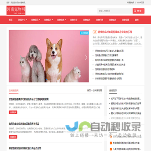 中宠网 - 汝州宠物网