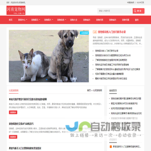 中宠网 - 沁阳宠物网