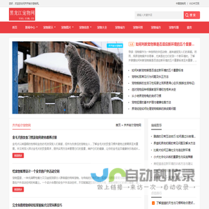 中宠网 - 齐齐哈尔宠物网