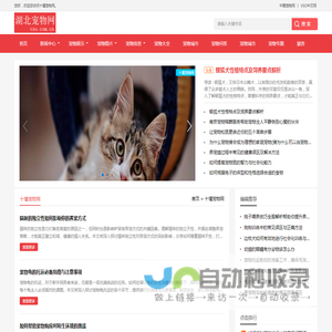 中宠网 - 十堰宠物网