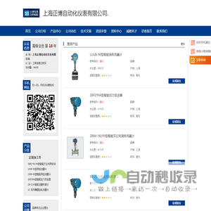 上海正博自动化仪表有限公司.