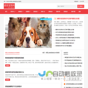 中宠网 - 湘西土家族苗族自治州宠物网