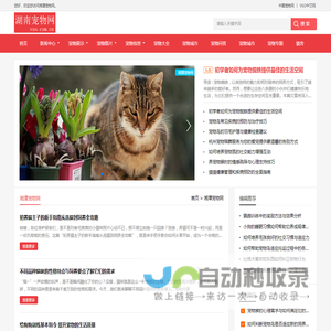 中宠网 - 湘潭宠物网