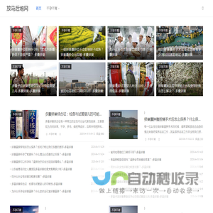 放马后炮网