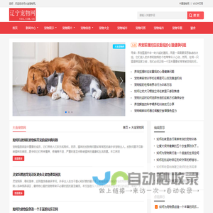中宠网 - 大连宠物网