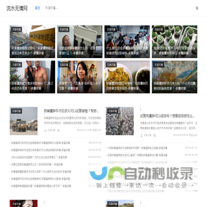 流水无情网