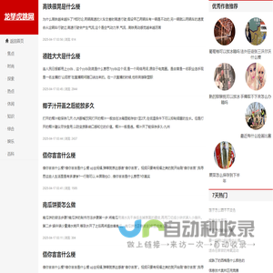 龙拏虎跳网
