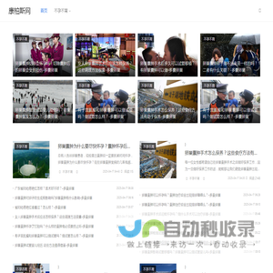 康柏斯网