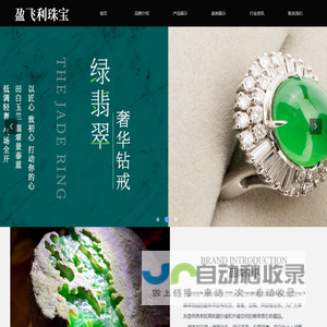 瑞丽盈飞利珠宝有限公司