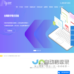 上海SEO网站优化-SEM竞价托管-短视频代运营-上海俐麸科技