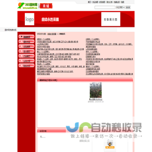 曲靖永胜苗圃