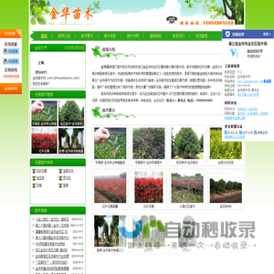 金华苗木-金华苗木场_金东区绿化苗木批发基地