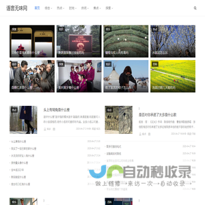 语言无味网