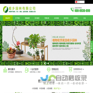 杭州植物租赁,杭州绿植租赁,杭州花卉租摆,杭州花卉批发销售,杭州除甲醛-暗乡园林