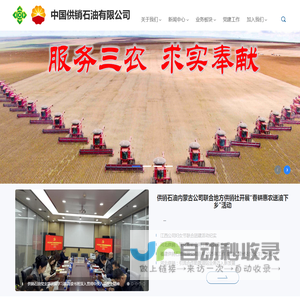 中国供销石油有限公司