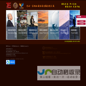 美国卓越集团公司
