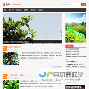 盛易祥普洱茶