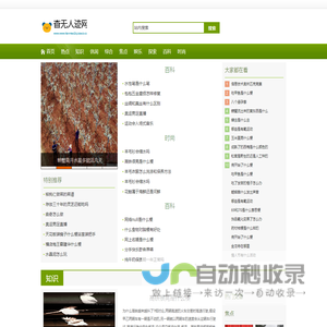 杳无人迹网