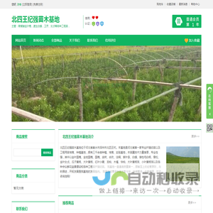 北四王纪强苗木基地-花木网
